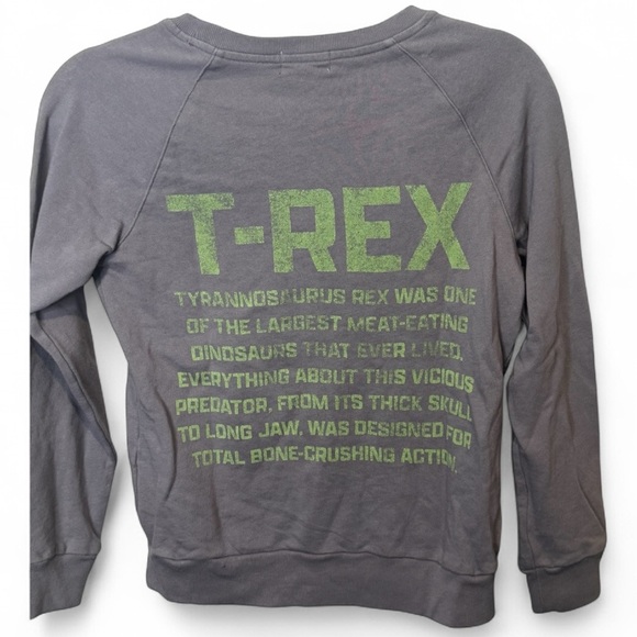 NWT-Peek Gray Dinosaur Graphic Kids Sweatshirt boys size 10 - Picture 3 of 4